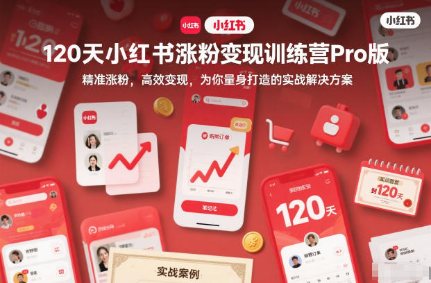 120天小红书涨粉变现训练营Pro版，​精准涨粉，高效变现​，为你量身打造的实战解决方案-龙大资源