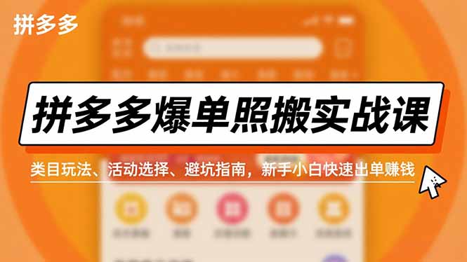 拼多多爆单照搬实战课，类目玩法、活动选择、避坑指南，新手小白快速出单赚钱-龙大资源