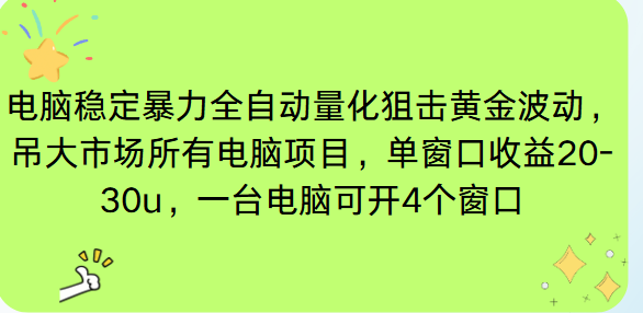 电脑EA策略挂机项目单窗口收益20-30u，单电脑可挂5-10个窗口收益稳健4位数-龙大资源
