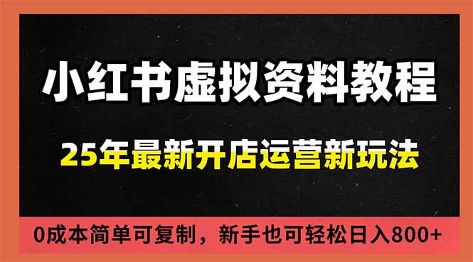 小红书虚拟资料项目：最新搜索流变现玩法，0成本简单可复制，一人多店打法，新手日入800+-龙大资源