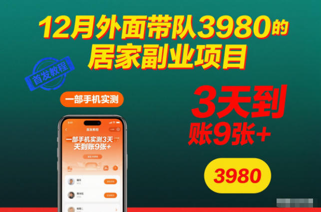 12月外面带队3980的居家副业项目，一部手机实测3天到账9张+，首发教程【揭秘】-龙大资源