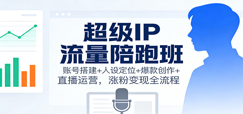 超级IP流量陪跑班：账号搭建+人设定位+爆款创作+直播运营，涨粉变现全流程-龙大资源