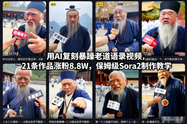用AI复刻暴躁老道语录视频，21条作品涨粉8.8W，保姆级Sora2制作教学-龙大资源