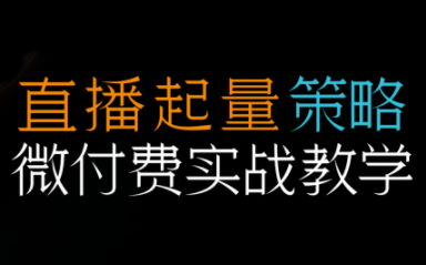 半野老师·直播带货起量与微付费必学课视频号-龙大资源