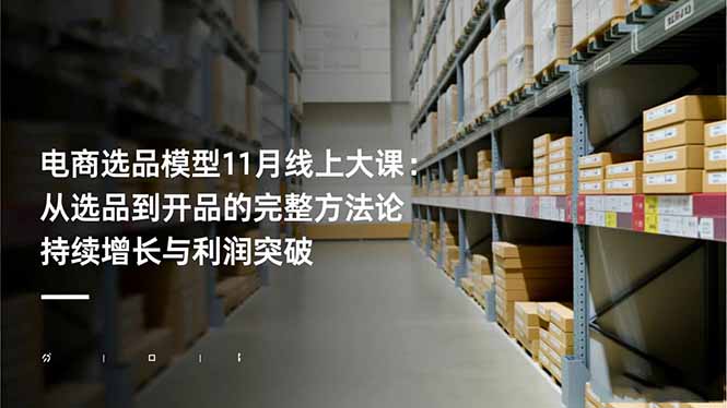 电商选品模型11月线上大课：从选品到开品的完整方法论 持续增长与利润突破-龙大资源