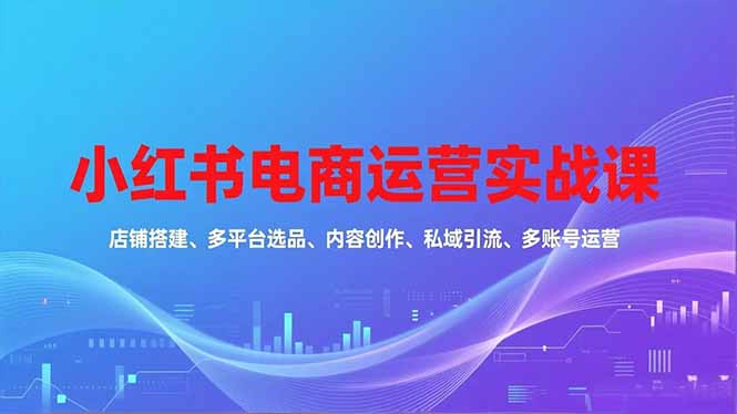 小红书电商运营实战课，店铺搭建、多平台选品、内容创作、私域引流、多账号运营等玩法-龙大资源