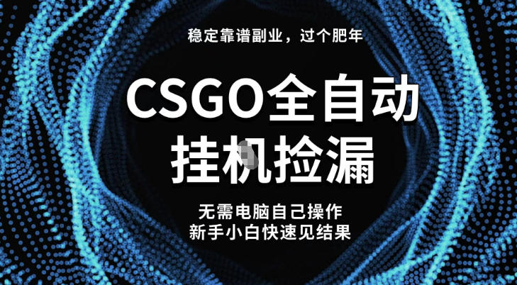 【稳定副业】全球最热门游戏CSGO全自动捡漏，最新玩法，新手小白日入5张+【揭秘】-龙大资源