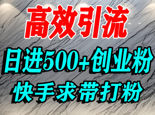 怎么打创业粉？快手求带视角精准引流创业粉，宝妈、学生群体日进500+精准流量-龙大资源