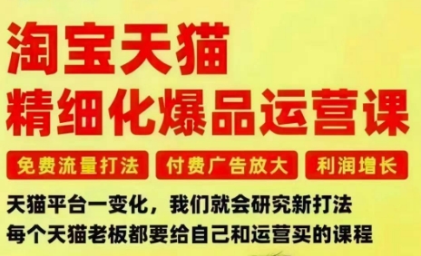 淘宝天猫精细化爆品运营课，免费流量打法-付费广告放大-利润增长-三大核心痛点，一次全部解决-龙大资源