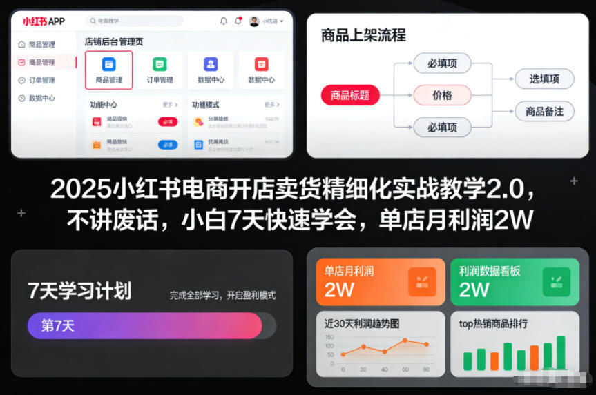 2025小红书电商开店卖货精细化实战教学2.0，不讲废话，小白7天快速学会，单店月利润2W-龙大资源