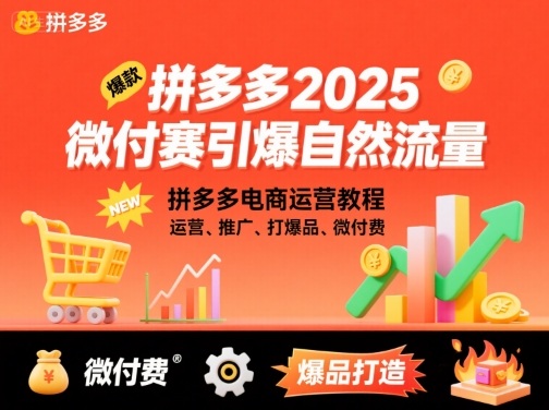 拼多多2025微付费引爆自然流量,拼多多电商运营教程,运营、推广、打爆品、微付费(更新)-龙大资源