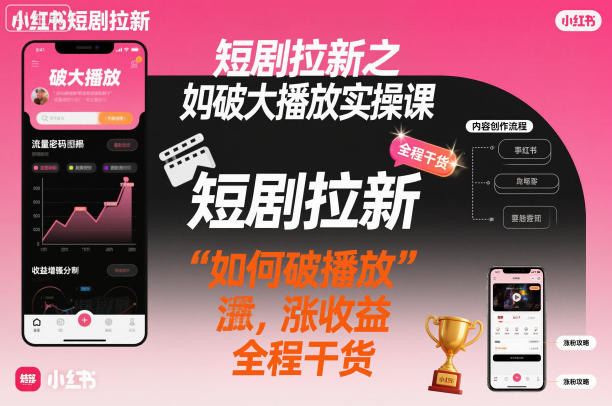 短剧拉新之小红书如何破大播放实操课，如何破播放，涨收益，全程干货-龙大资源