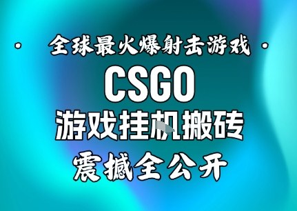 【年底大揭秘】基于全球最火爆的射击CSGO游戏挂G搬砖，日入5张+，震撼公开-龙大资源