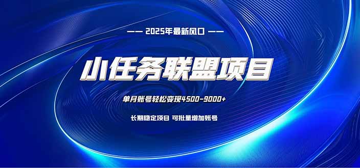 小任务联盟项目：一台电脑每天只需10分钟，轻松简单稳定-龙大资源