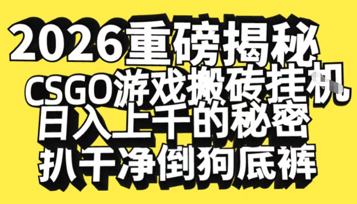 2026开年重磅解密，CSGO游戏搬砖挂G日入1k+的秘密，把倒狗的底裤扒干【揭秘】-龙大资源