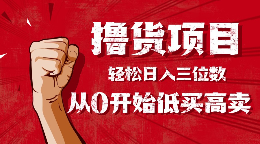 手把手教你撸货，从0开始低买高卖，小白轻松实现日入三位数!!!-龙大资源