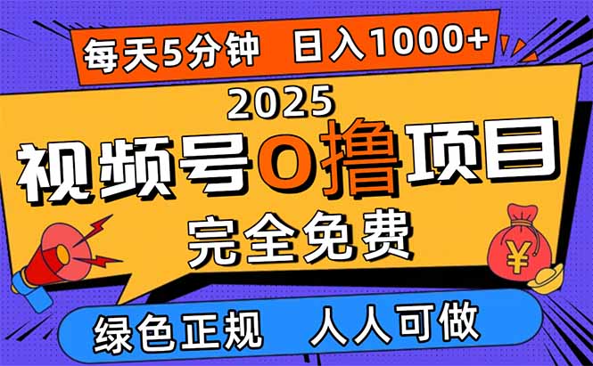 2025视频号0撸项目，5分钟一个号，日入1000+，人人可做-龙大资源