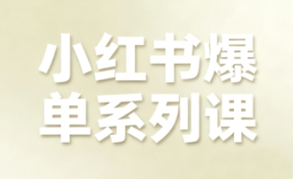 小红书爆单系列课，聚焦小红书电商全链路增长(更新)-龙大资源