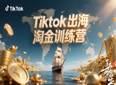Tiktok出海淘金训练营，跨境电商TK实战变现-龙大资源