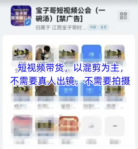 宝子哥头部团队短视频带货，以混剪为主，不需要真人出镜，不需要拍摄【更新9月】-龙大资源