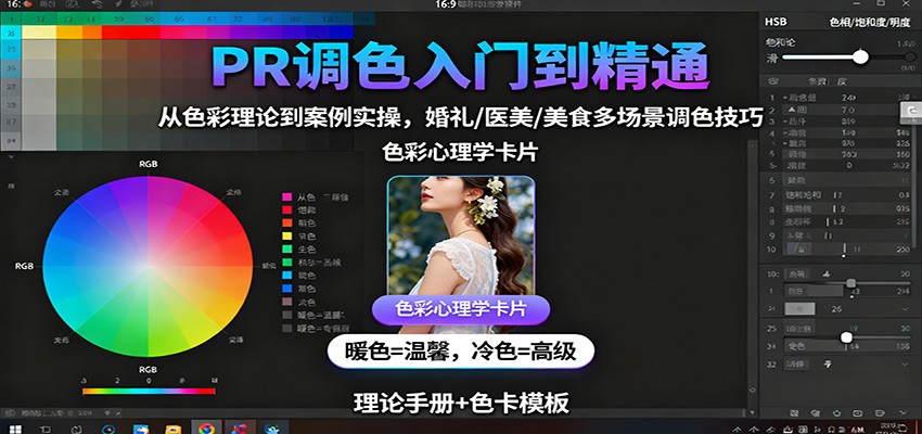 PR调色入门到精通：从色彩理论到案例实操，婚礼/医美/美食多场景调色技巧-龙大资源