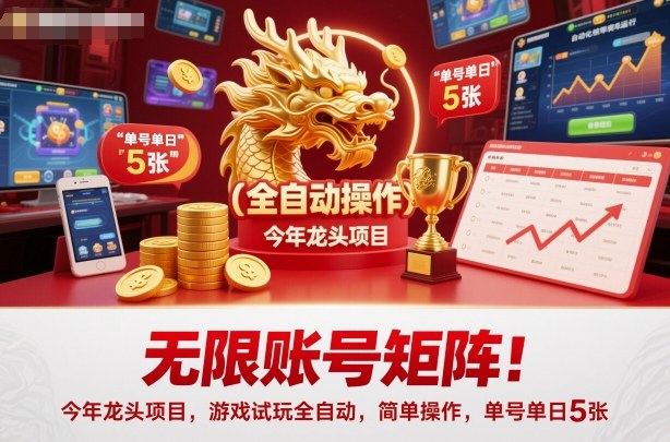 无限账号矩阵！今年龙头项目，游戏试玩全自动，简单操作，单号单日5张【揭秘】-龙大资源