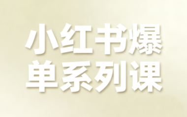 尼采老师·小红书爆单系列课-龙大资源