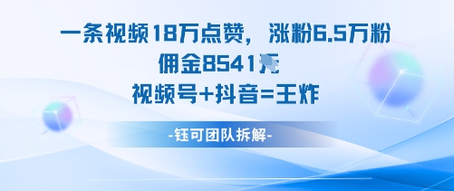 一条视频18W点赞,涨粉6.5W粉佣金8541米,视频号+抖音=王炸-龙大资源