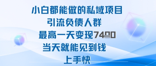 2025年小白都能做的私域项目引流负债人群最高一天变现1k+高变现难度低当天就能见到钱上手快-龙大资源