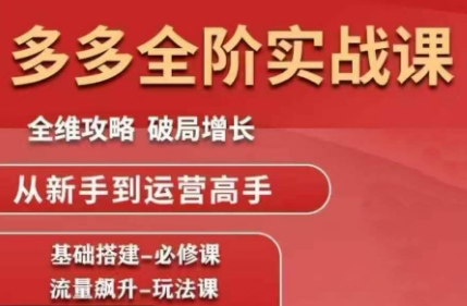 大炮·拼多多全阶实战课程(更新10月)-龙大资源