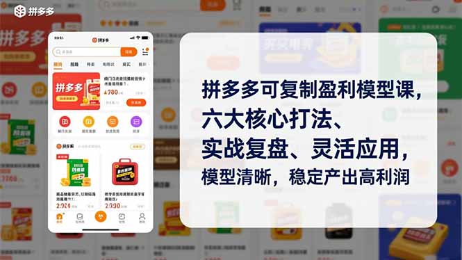 拼多多可复制盈利模型课，六大核心打法、实战复盘、灵活应用，模型清晰，稳定产出高利润-龙大资源