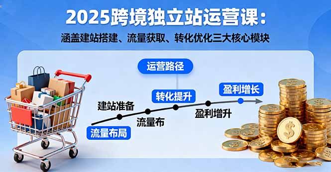 2025跨境独立站运营课:涵盖建站搭建、流量获取、转化优化三大核心模块-龙大资源