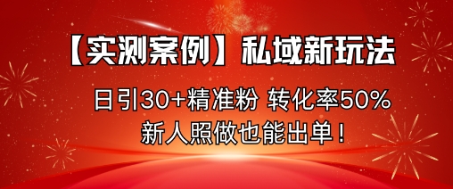 【实测案例】私域新玩法,日引30+精准粉,转化率50%,新人照做也能出单!-龙大资源