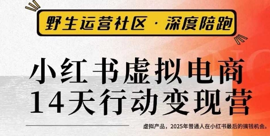 小红书虚拟电商14天变现训练营3.0，​虚拟产品，2025年普通人在小红书最后的搞钱机会-龙大资源