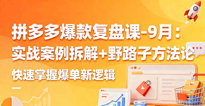 拼多多爆款复盘课-9月：实战案例拆解+野路子方法论，快速掌握爆单新逻辑-龙大资源