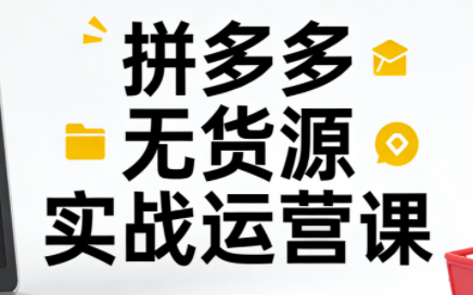 子枫老师·拼多多无货源实战运营课(更新12月)-龙大资源