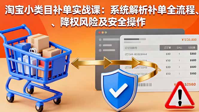 淘宝小类目补单实战课：系统解析补单全流程、降权风险及安全操作-龙大资源