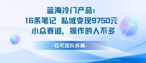 蓝海项目：16条笔记私域变现9750米小众赛道操作的人不多-龙大资源