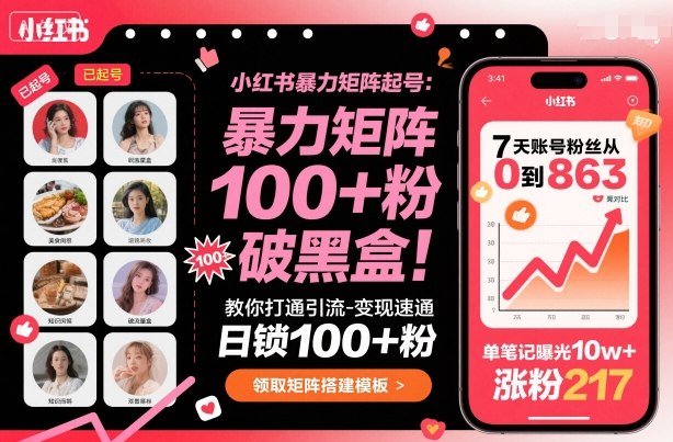 小红书暴力矩阵起号，教你打通引流-变现速通，日锁100+粉，破流量黑盒-龙大资源