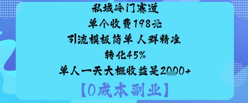私域冷门赛道:单个收费198米引流模板简单人群精准转化45%单人一天大概收益是1k+-龙大资源