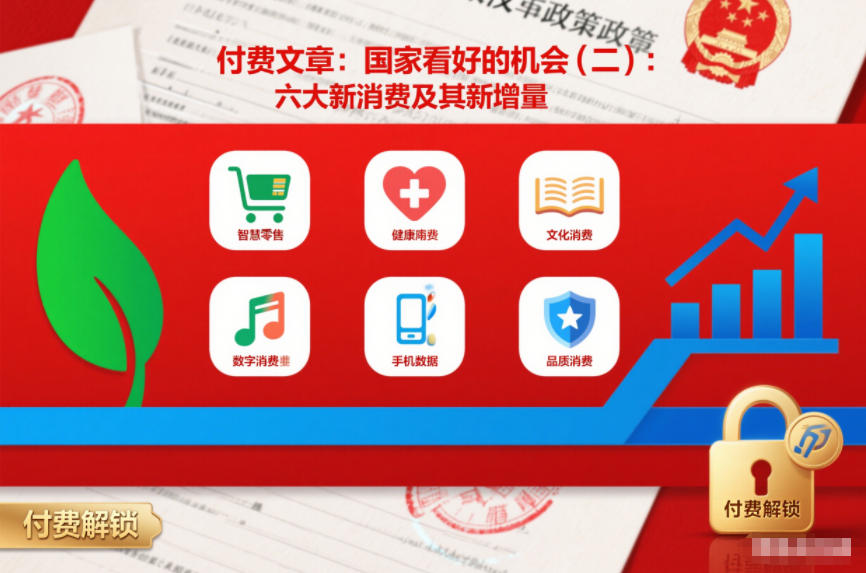 付费文章：国家看好的机会(二)：六大新消费及其新增量-龙大资源