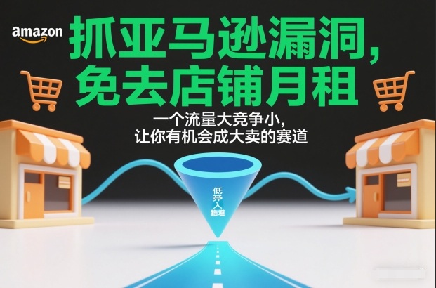 抓亚马逊漏洞，免去店铺月租，一个流量大竞争小，让你有机会成大卖的赛道-龙大资源