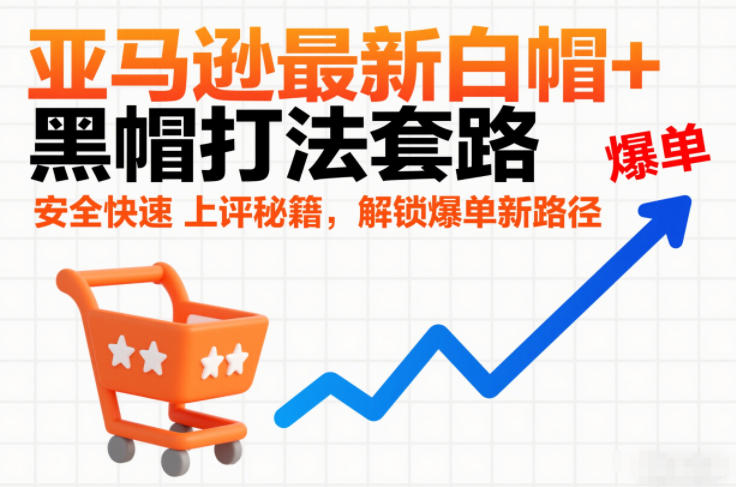 亚马逊最新白帽+黑帽打法套路，安全快速上评秘籍，解锁爆单新路径-龙大资源