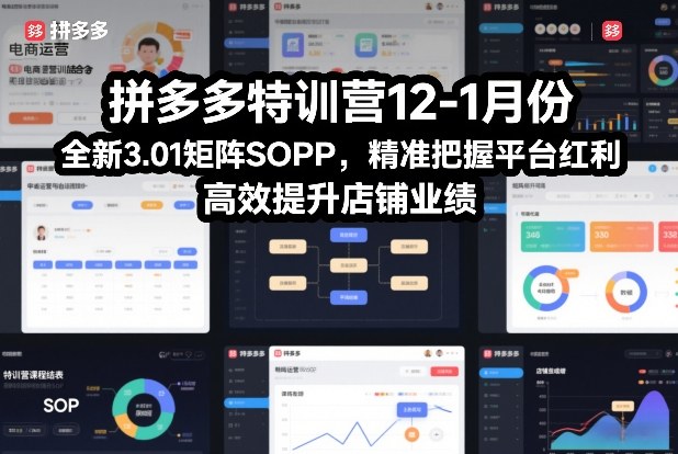 拼多多特训营12-1月份,全新3.01矩阵Sop,精准把握平台红利,高效提升店铺业绩-龙大资源