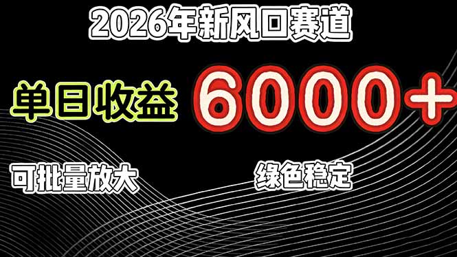 2026年新风口赛道，当日6000+以上，可批量放大，月收入20万+，长期绿色稳定的项目-龙大资源