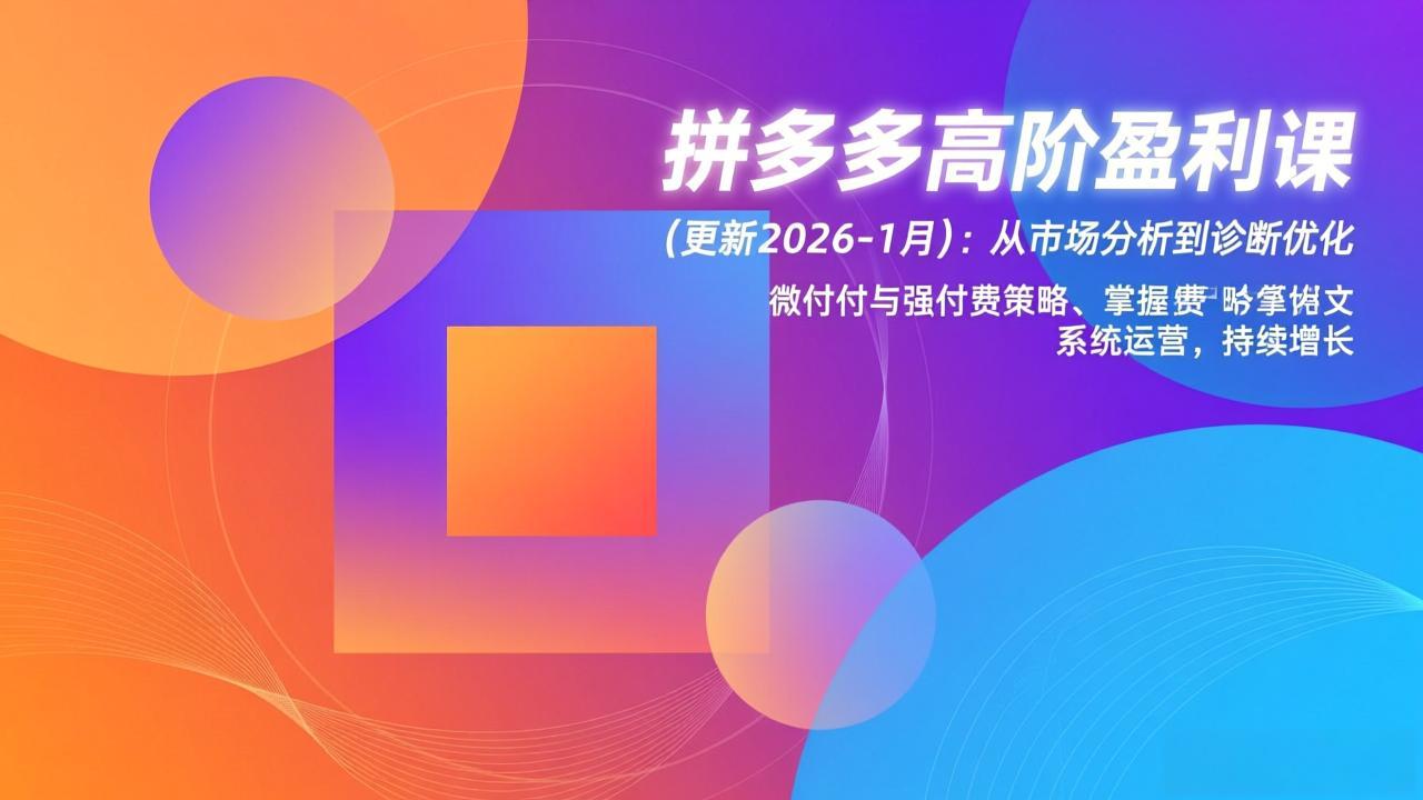 拼多多高阶盈利课(更新2026-1月-龙大资源