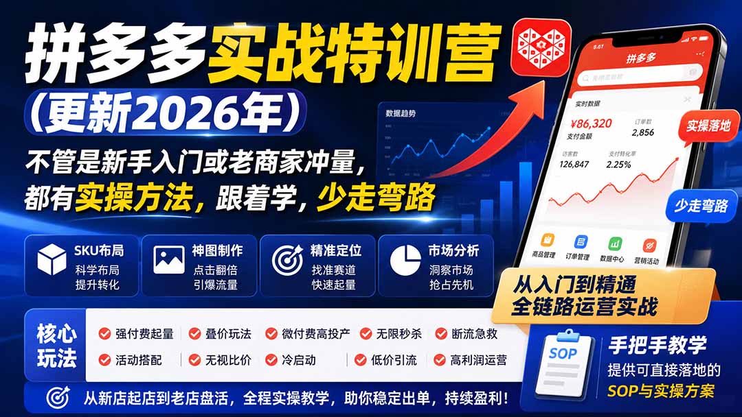 拼多多实战特训营(更新2026年-龙大资源