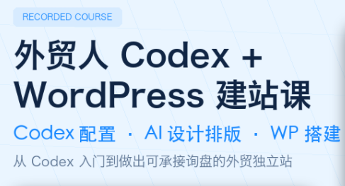 大卫·外贸人Codex + WordPress建站课(更新8月)-龙大资源