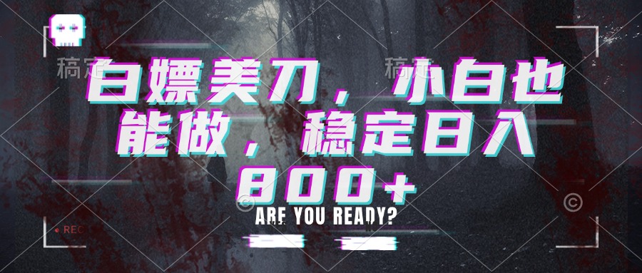 白嫖美刀，小白也能做，稳定日入800+-龙大资源