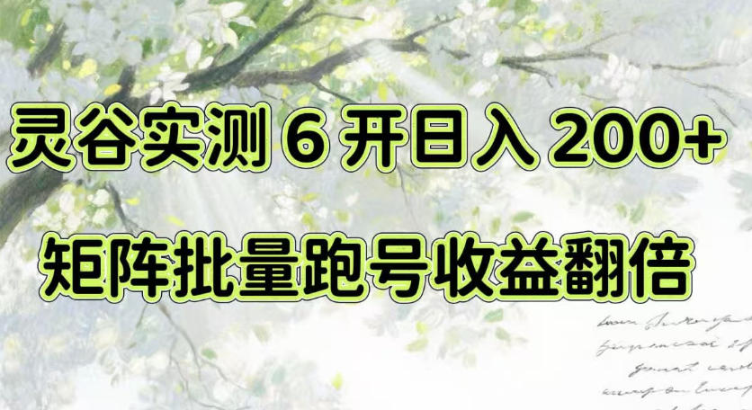 一台电脑就能做！灵谷实测6开日入200+，矩阵批量跑号收益翻倍【揭秘】-龙大资源